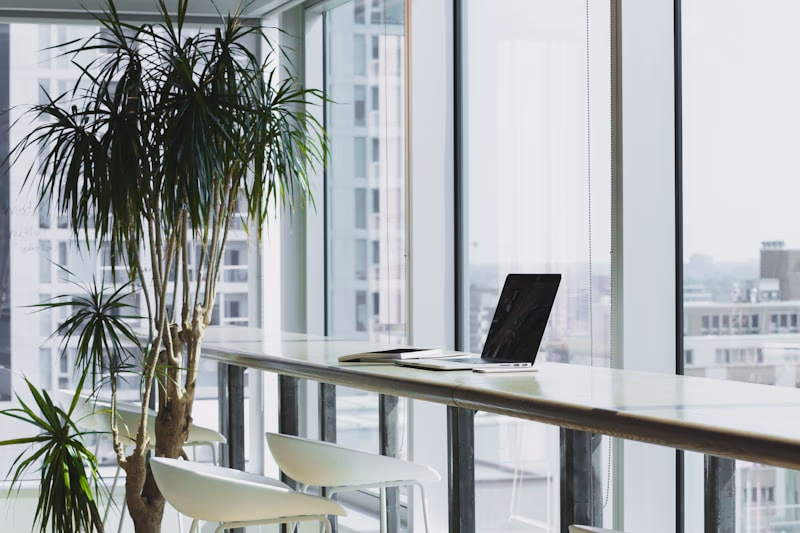 Corporate office meeting room showcasing clean window blinds for glare control in Dubai